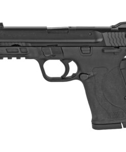 Smith & Wesson, M&P 380 SHIELD EZ M2.0, Internal Hammer Fired, Semi-automatic Pistol, Polymer Frame Pistol, Micro-Compact, 380ACP, 3.675" Barrel, Armornite Finish, Black, 3-Dot...