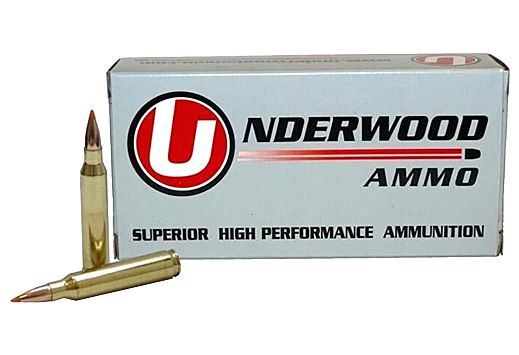 UNDERWOOD 223 REM 60GR 20RD BALLISTIC TIP-BT