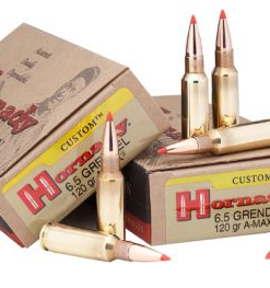 Hornady Custom 6.5 Grendel 123gr SST 20ct Box 8152